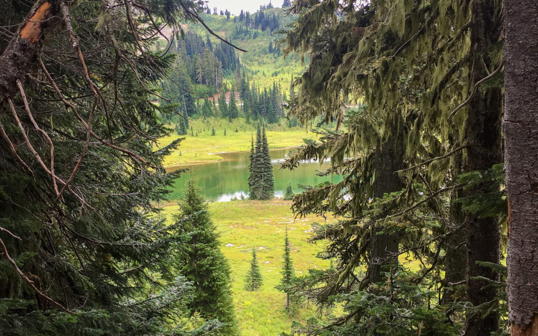 Mount Rainier, WA